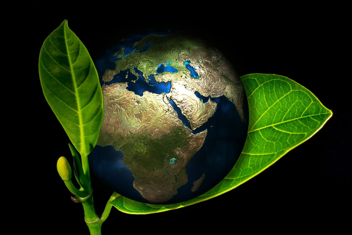 Choosing a Sustainable and Eco-Friendly Mattress for Your Camper Van