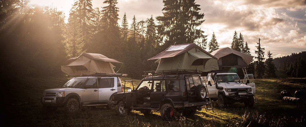 Three off-road vehicles with mounted rooftop tents parked in a forest clearing at sunset, with trees and dramatic sun rays in the background.