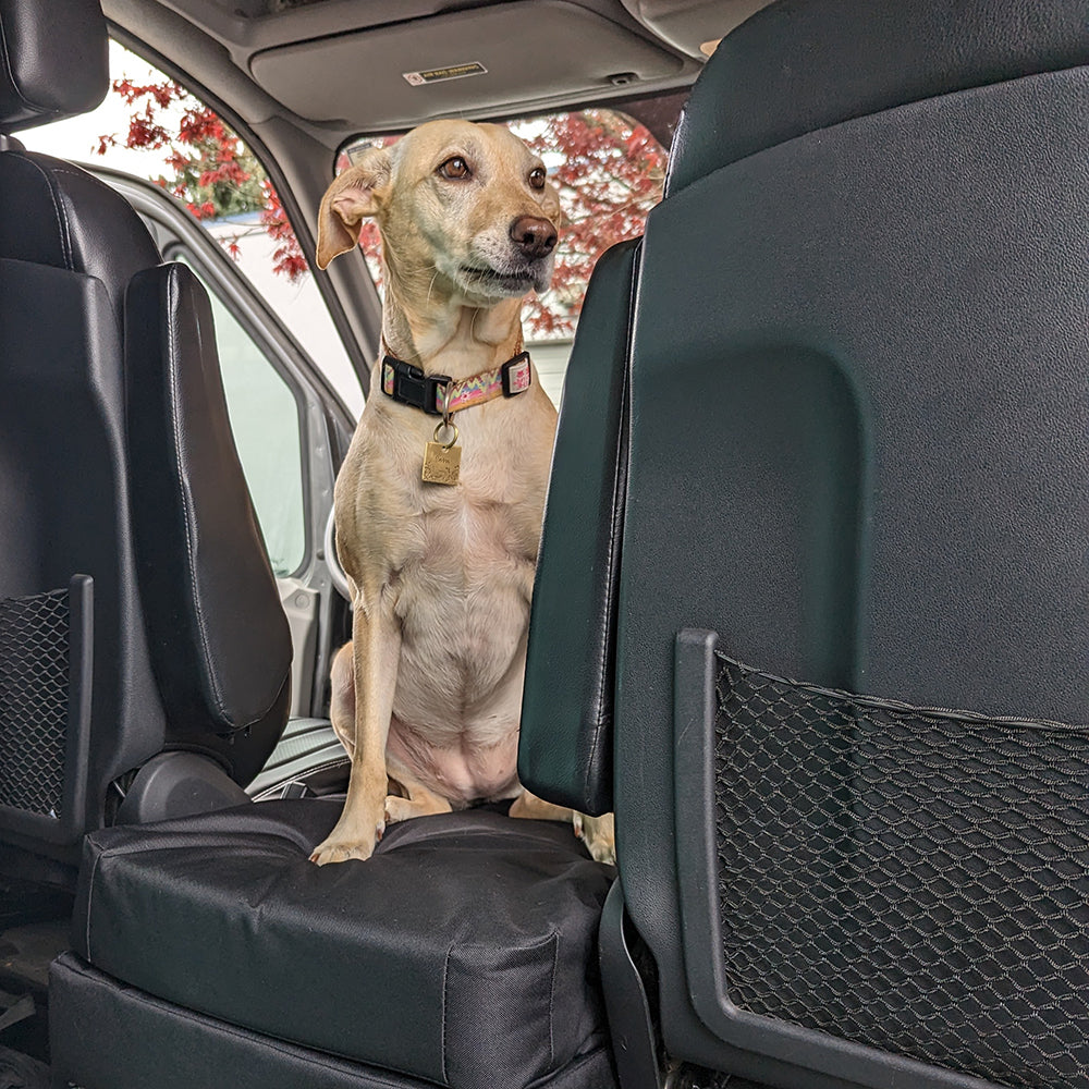 Dog sitting on RuffRoost Sprinter dog bed inside van