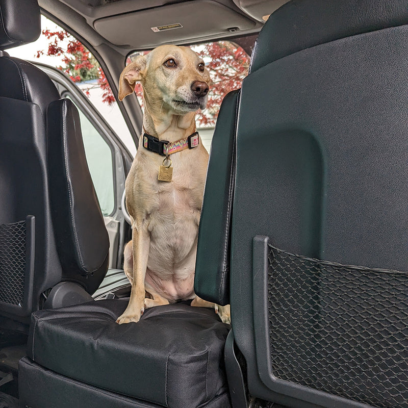 Dog sitting on RuffRoost Sprinter dog bed inside van