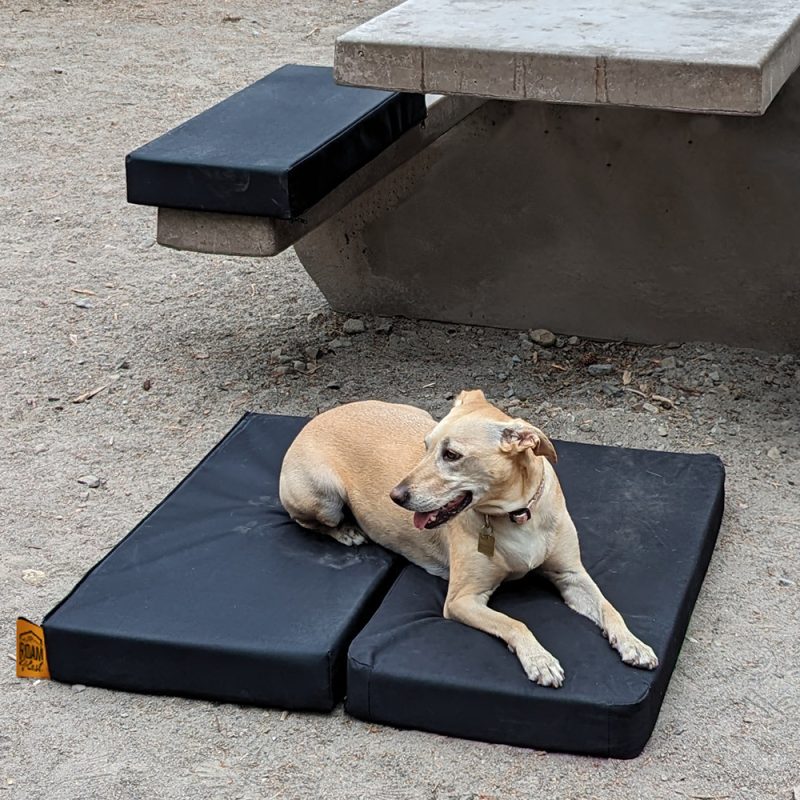 RuffRoost Dog Bed