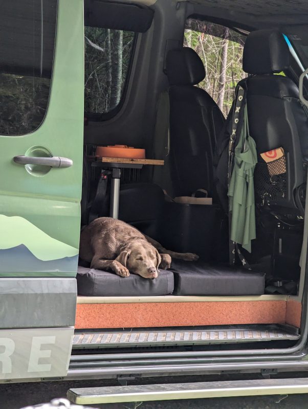 Mia in van